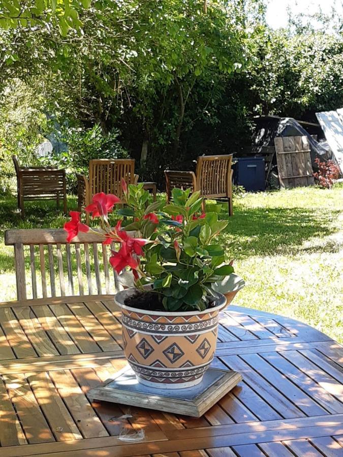 Chez Mialaret Bed and Breakfast Tourniac Buitenkant foto